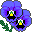 flower texture